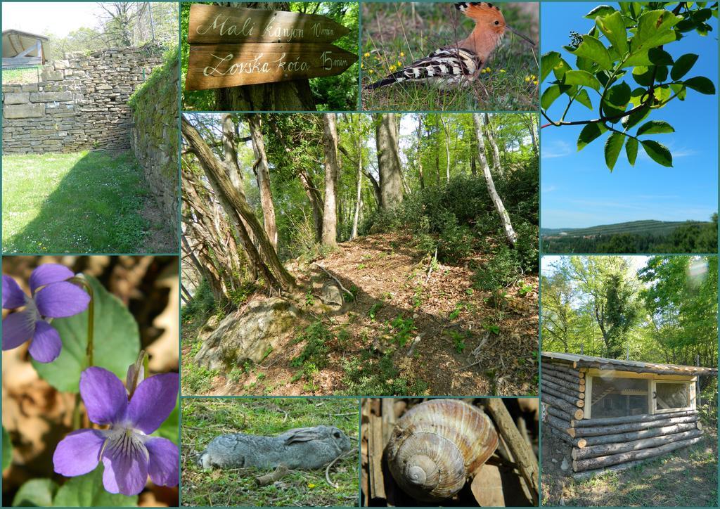 The Hug Of Nature Dekani Esterno foto